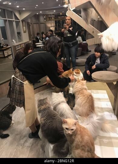 mais recente caso da empresa sobre Specific Customer Feedback (Anonymous Compilation)