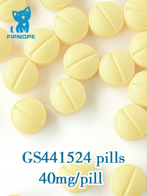 20mg/tablets, comprimidos orais GS441 de 40mg/tablets GS 441524 marca para o PLF do gato