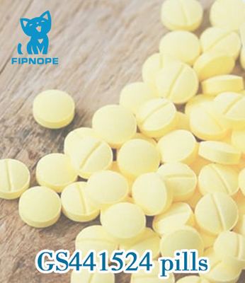 20mg/Tablets tratamento oral do PLF das formulações dos comprimidos Gs441524 nos gatos GS