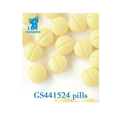 Tratamento do PLF do gato com formulações orais de GS-441524